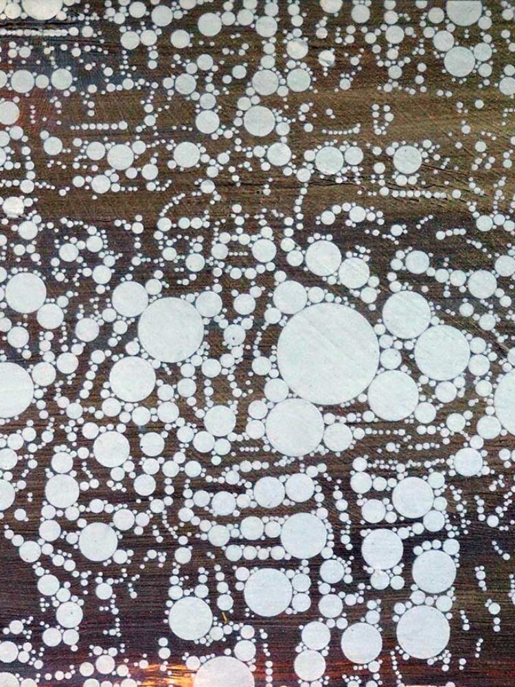 Masahito Katayama | 2019